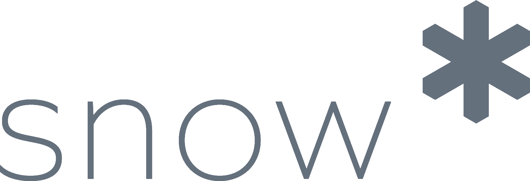 Snow Software